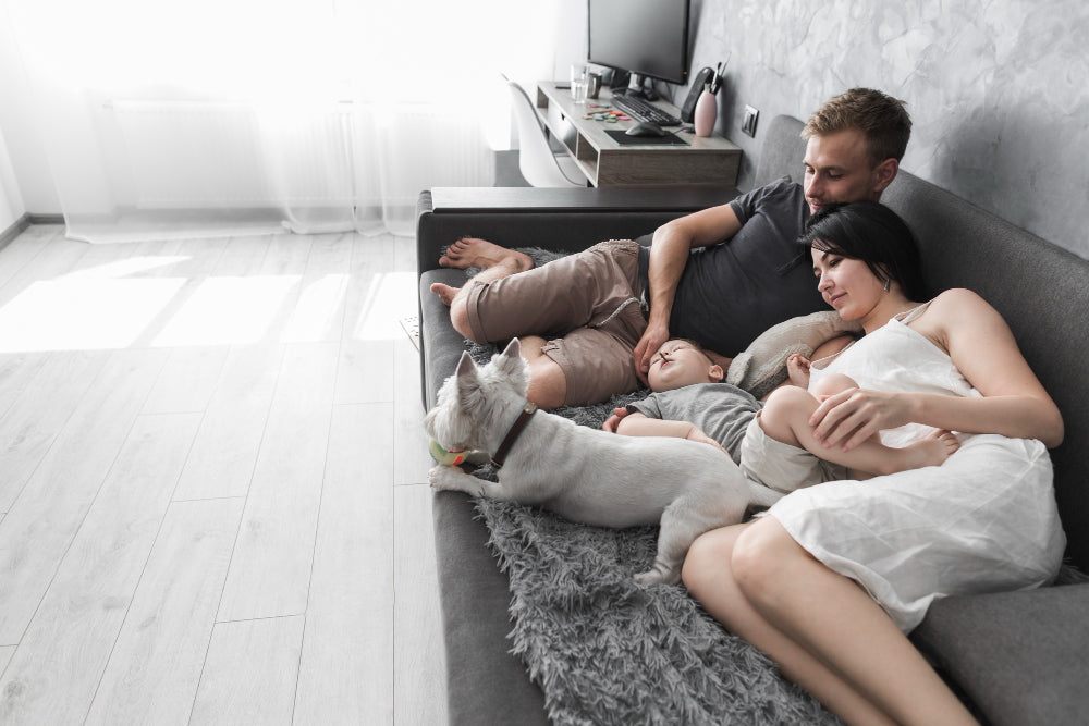Family Sofa – Discover the Best Comfortable and Durable Sofa for Everyday Family Life
