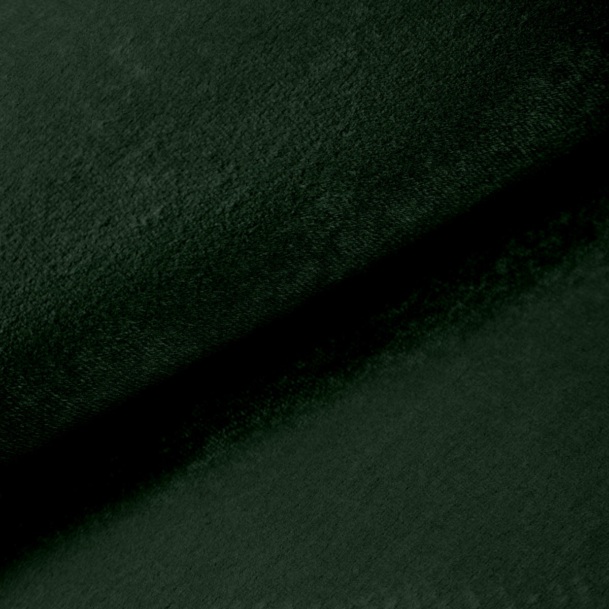 Próbnik tkanin Fresh Dzika Paproć